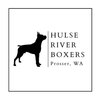 Hulse River Boxers