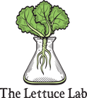 The Lettuce Lab