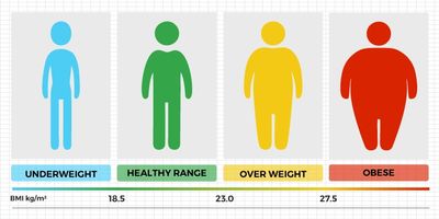 BMI calculator