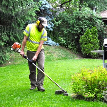 Man trimming grass with a string trimmer in a green garden.