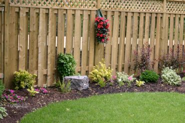 Well-maintained garden bed with various plants along a wooden fence.