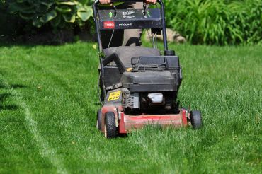 Person mowing a green lawn with a lawn mower.
