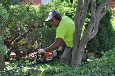 Man using a chainsaw in a garden.