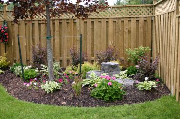 Garden bed with plants and flowers near wooden fence.