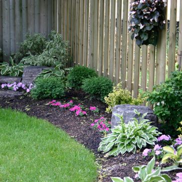 Flower bed with green shrubs and pink flowers beside wooden fence.