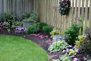 Neatly maintained garden bed along a wooden fence.