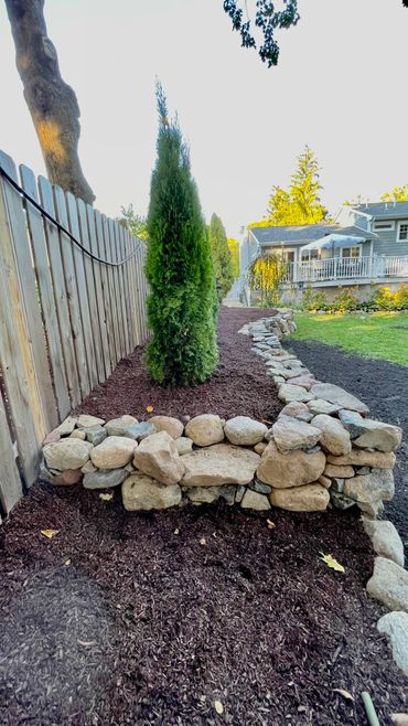 tree installation with natural stone retaining wall