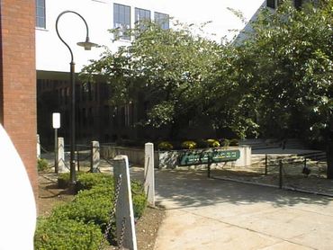 A sunny outdoor pathway with lamp posts and greenery.