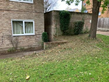 Brick house with garden and trees