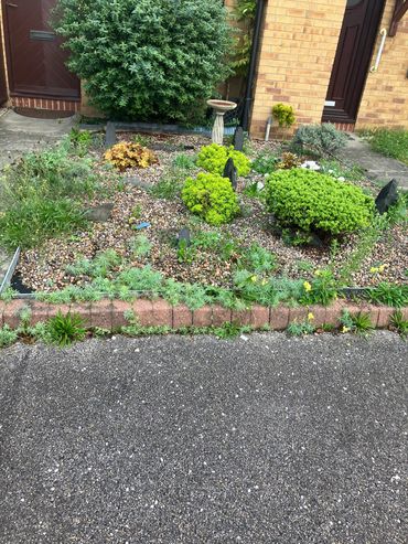 Garden with gravel, green shrubs, and decorative birdbath in front of a brick house.