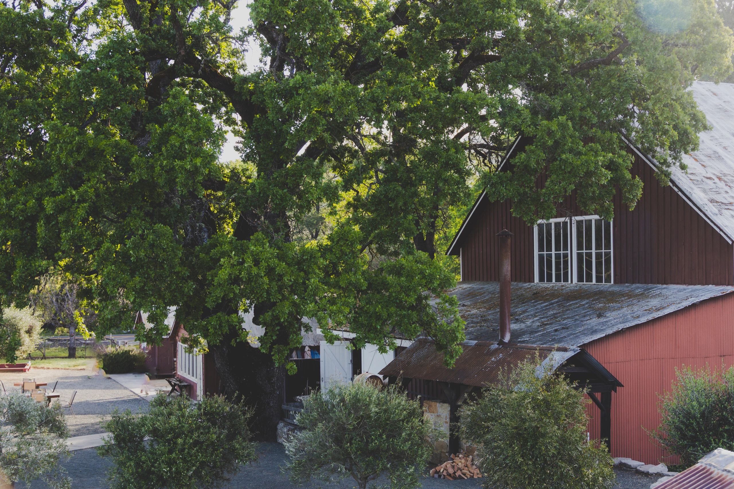 Pope Valley Winery hero image