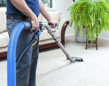 Carpet Cleaning Services