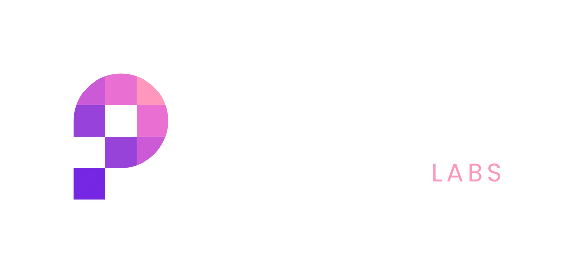 PayTech Logo
