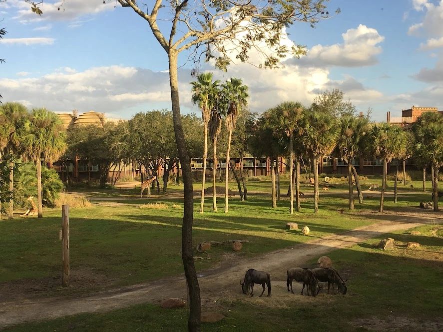 Disney’s Animal Kingdom Villas- Kidani Village 