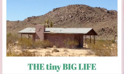 the tiny big life blog