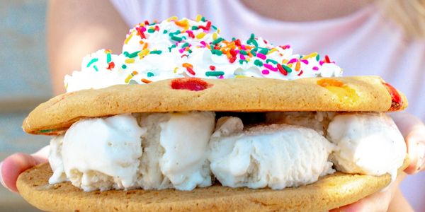Ice cream sandwich with colorful sprinkles on top.