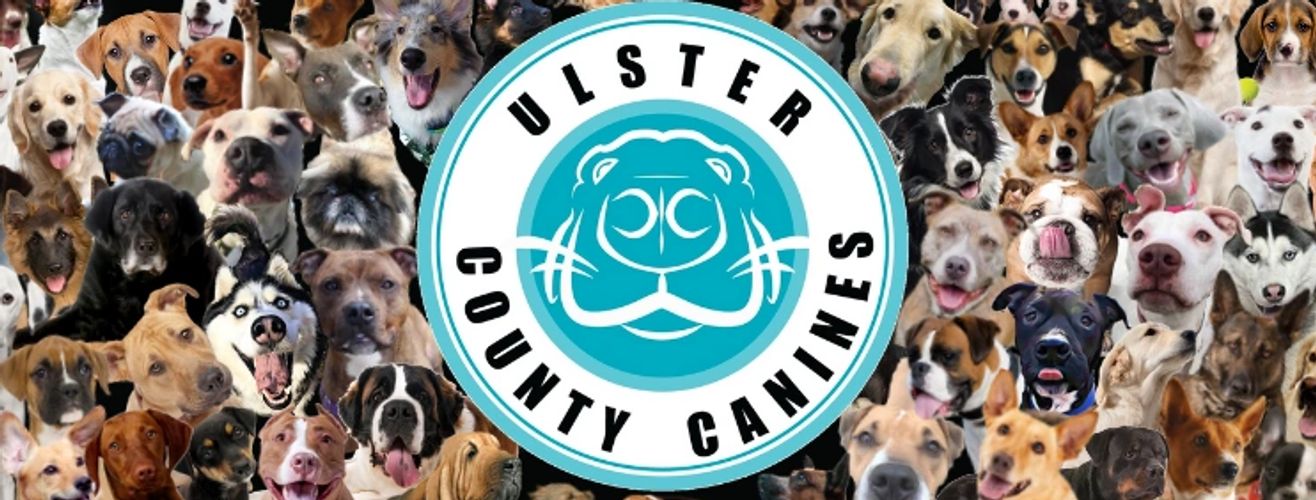 Ulster County Canines Pet Services, Dog Boarding, Training