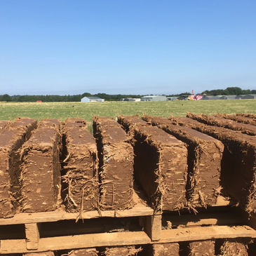 We specialise in making traditional cob blocks, and have done for over 20 years.