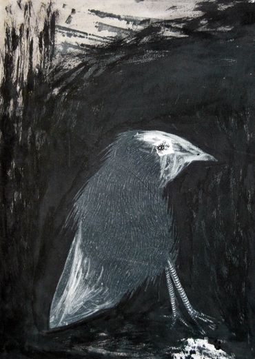 Black bird.