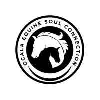 Ocala Equine Soul Connection, LLC
