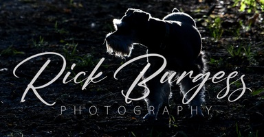 Rick Burgess Photography
