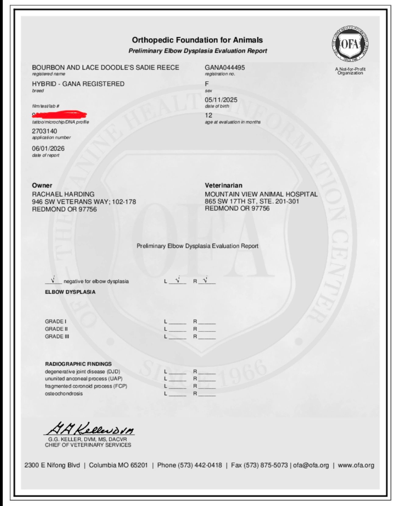 Orthopedic Foundation for Animals preliminary elbow dysplasia report for a dog named Sadie Reece.