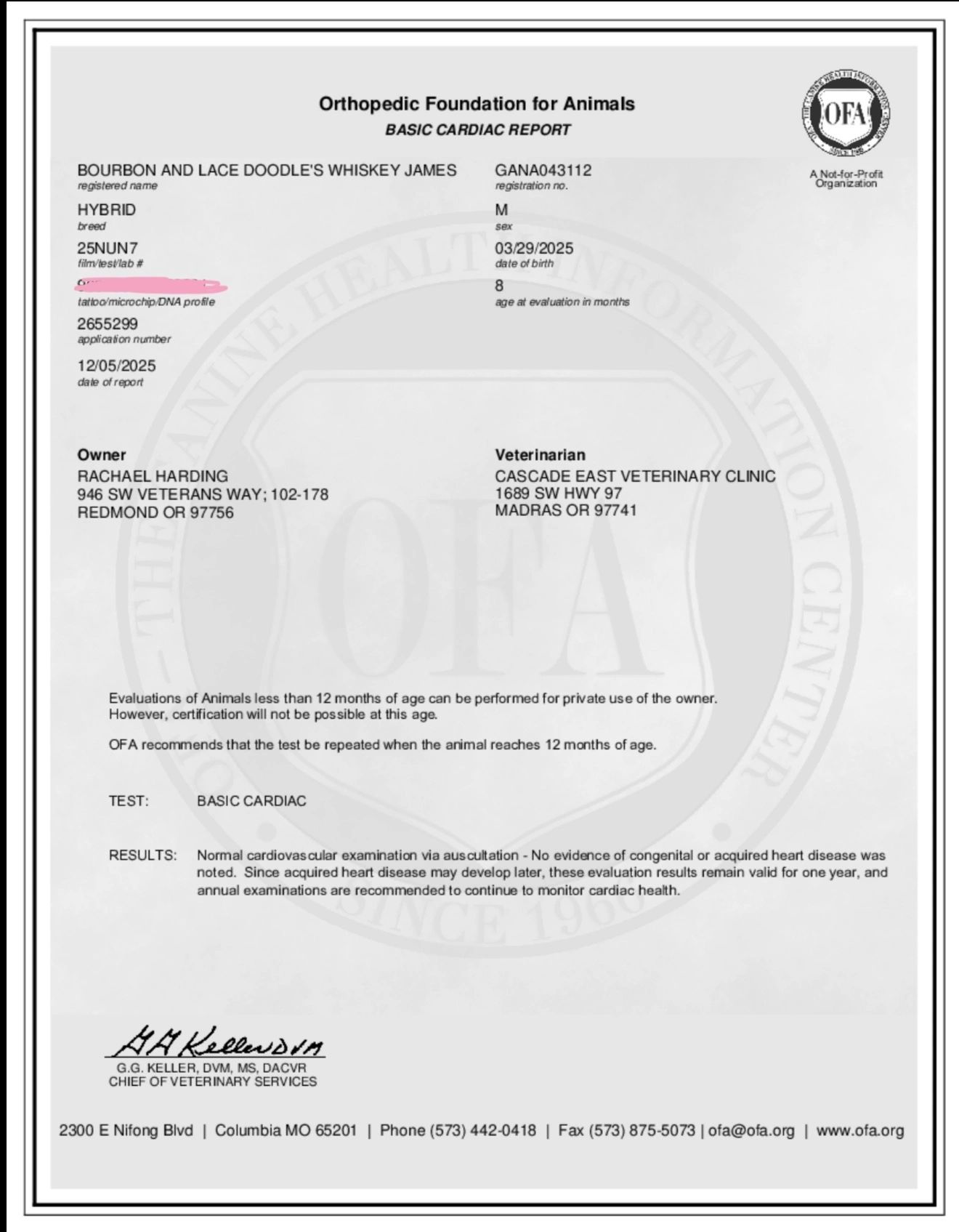 Basic cardiac report for Bourbon and Lace Doodle's Whiskey James, showing normal heart examination results.