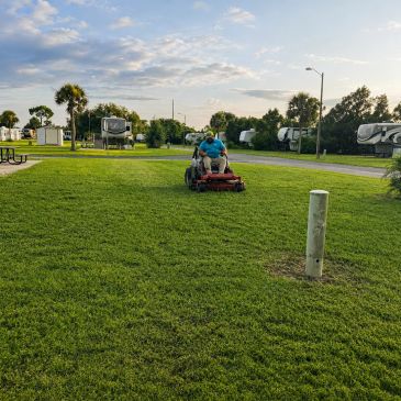 Commercial mower maintaining a large community lawn in Central Florida.
