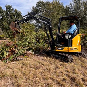 Compact excavator clearing dense palmetto vegetation from an overgrown property.