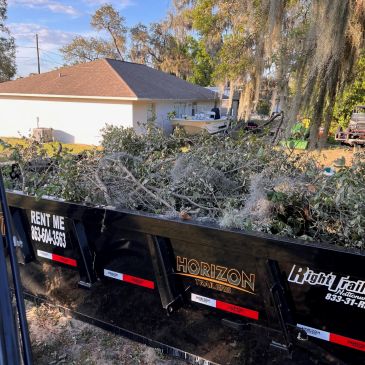 Roll-off dumpster filled with yard debris at a residential property.