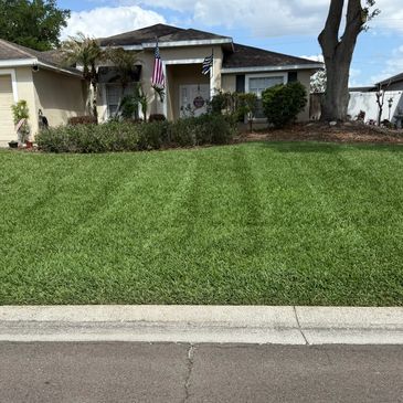 Freshly mowed and edged residential lawn in front of a Central Florida home.