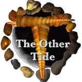 THE OTHER TIDE