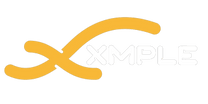 Xmple Panel