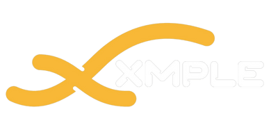 Xmple Panel