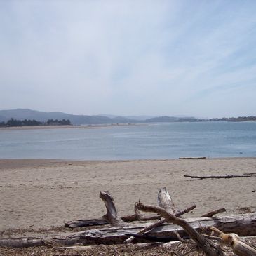 The Pacific Northwest Coastline.