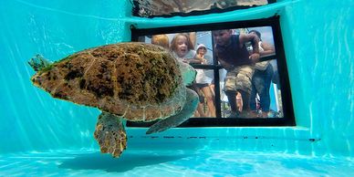 Loggerhead Marinelife Center