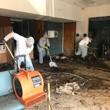 Limpiezas industriales, control de hongos, limpieza de conductos de aire Action Environmental