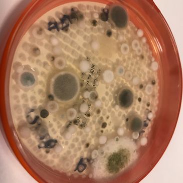 Toma de muestras de calidad de aire, análisis de calidad de aire, control de microorganismos