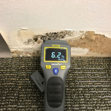 Análisis de Humedad, Analisis de Calidad de Aire, Hongos en paredes, Hongos Ambientales, Humedad