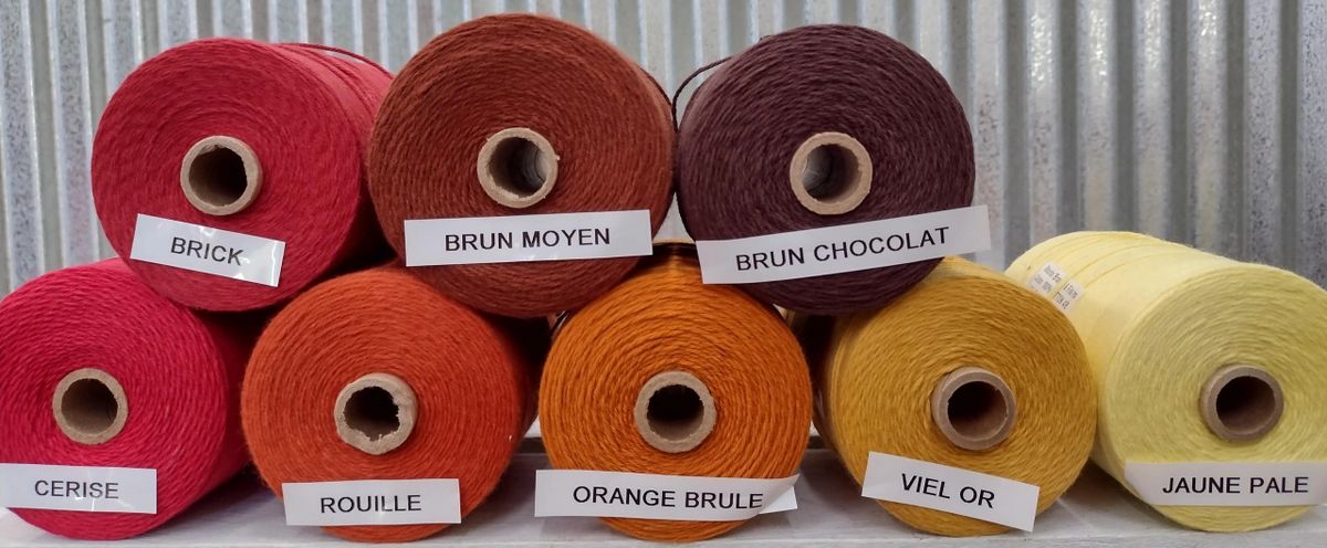 8/4 Maurice Brassard Cotton Yarn, 1/2 pound spool- 30+ colors to choose  from (others can be ordered) (Color: Vert Nil)