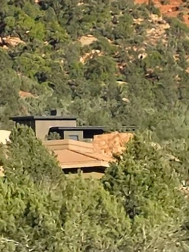 Modern house nestled among dense green trees on a hillside.