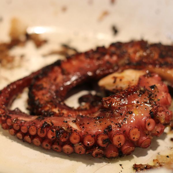 pulpo a la parrilla, grilled octopus
