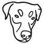 Paws and Porch