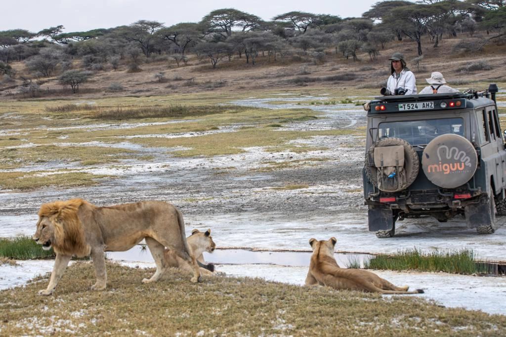 Quest for the Big Five