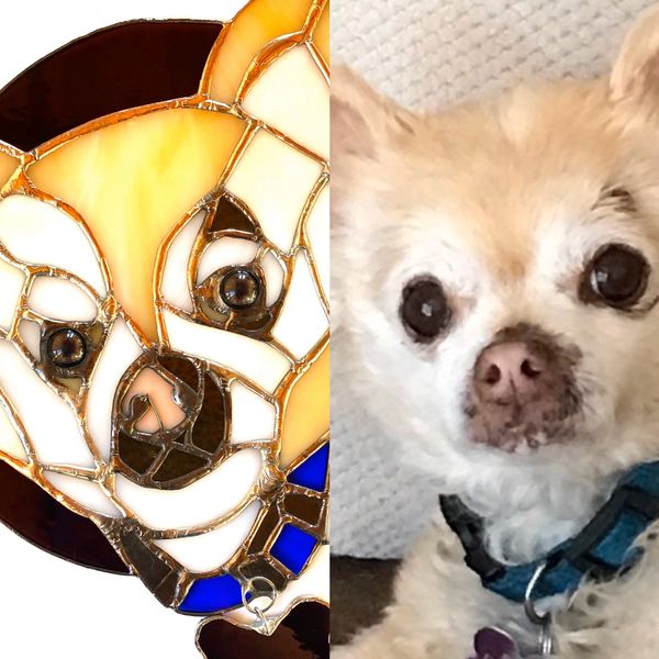 Custom dog portrait 