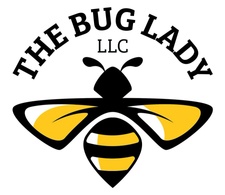 The Bug Lady