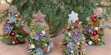 Christmas Succulent Trees