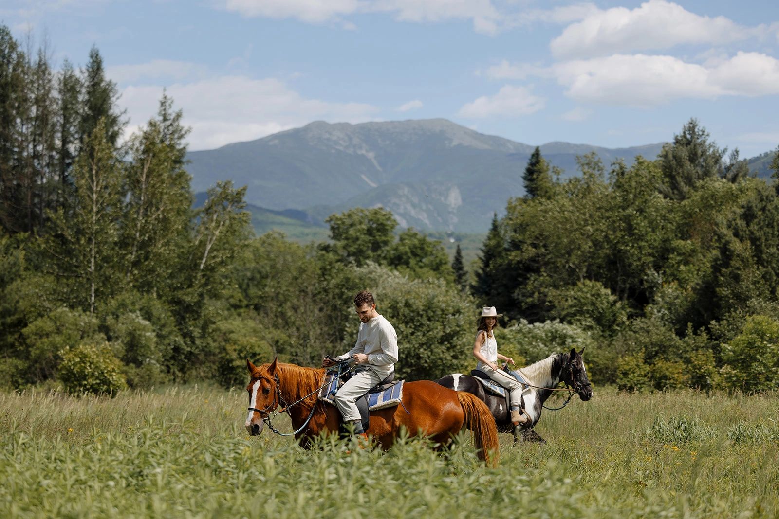 Franconia Notch Stables