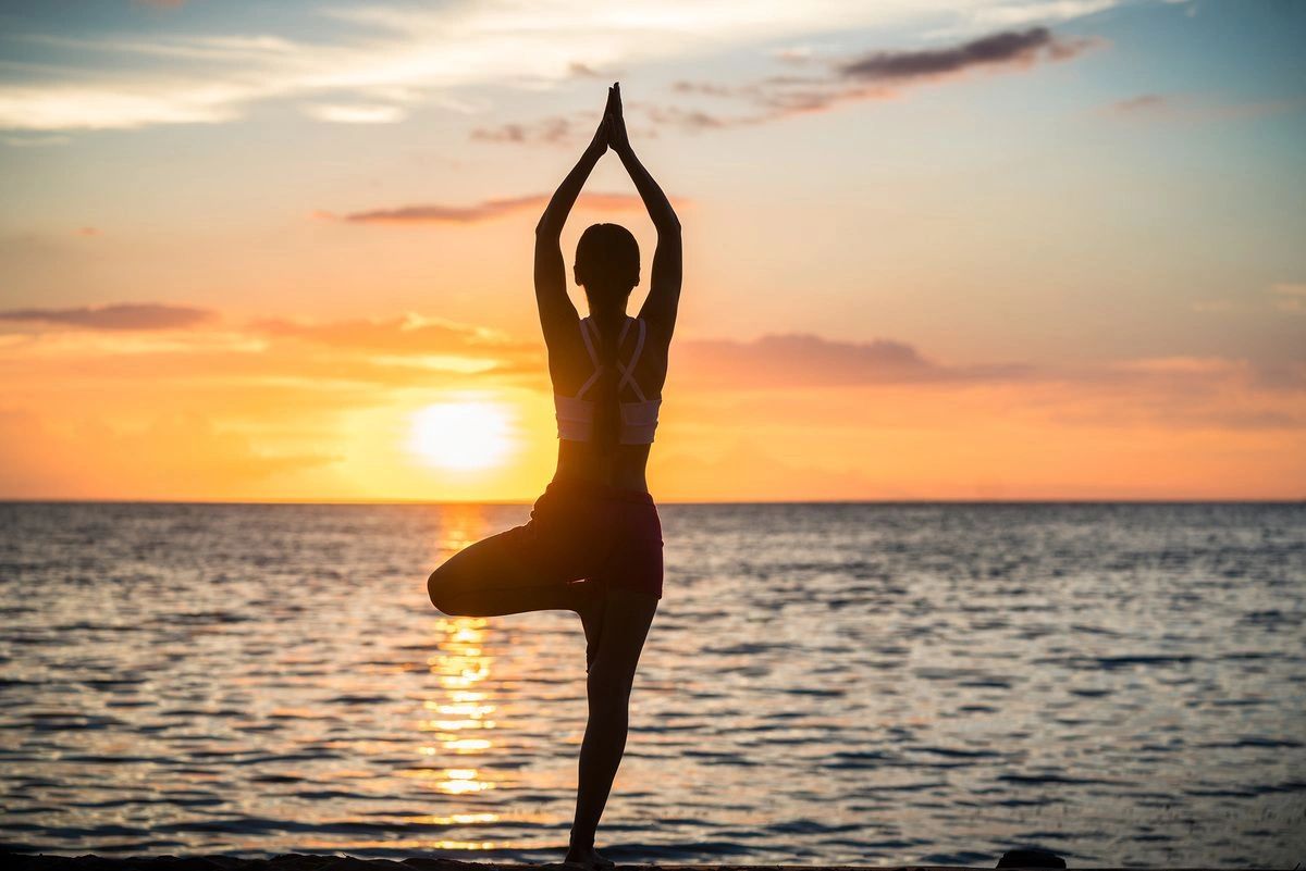 Informed Body Healing