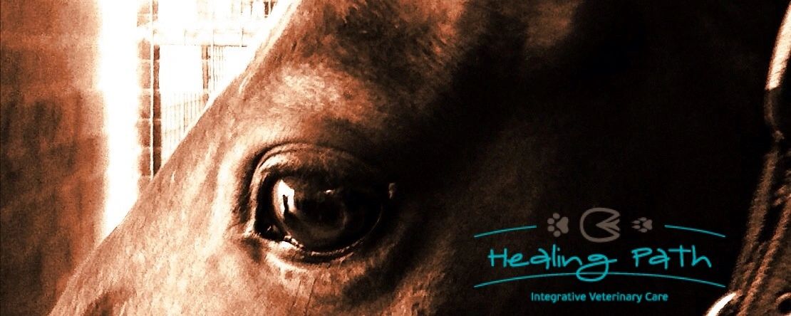 Healing Path Integrative Veterinary logo